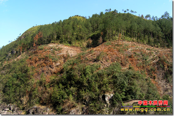 福州跋山涉水俱乐部寿宁廊桥游