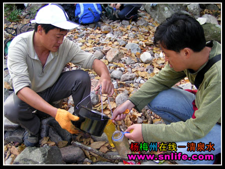 摄驴的风采----芎坑原始森林色驴存照