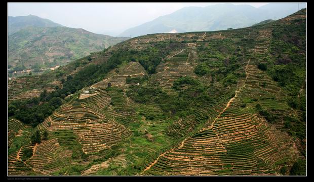 调整大小 风景3.jpg