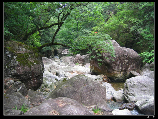 乙酉初夏芎坑峡谷游记