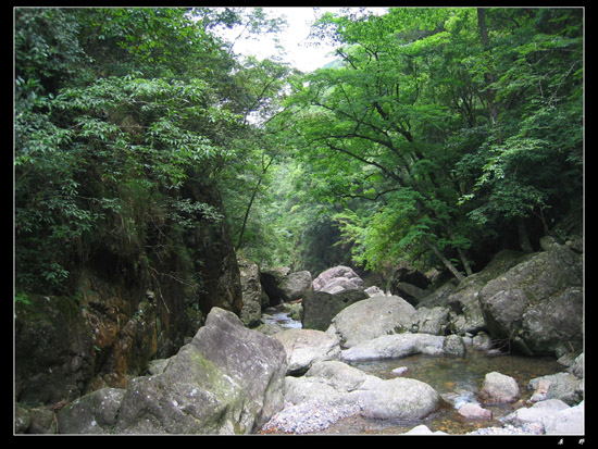 乙酉初夏芎坑峡谷游记