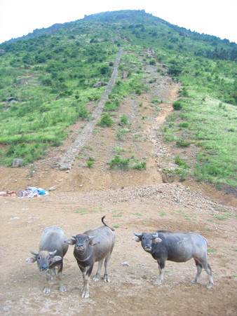 仙山行