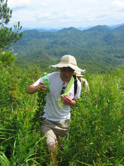 盛夏透风尖之行