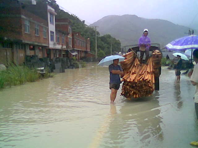 都是海棠惹的祸